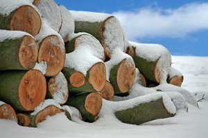 Snow Logs: Log pile after a heavy snowfall
