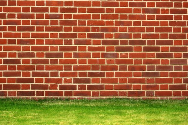Brick Wall: Traditional english bond red brick wall with a green grass border