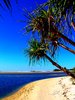 Paradise 4: Semi-tropical beach on the coast of Queensland, Australia. Framed by pandanus trees and a glorious sky. 