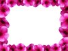 Floral Border 8: Floral border on blank page. Lots of copyspace. You may prefer:  http://www.rgbstock.com/photo/2dyVTby/Hibiscus+Border+1  or:  http://www.rgbstock.com/photo/2dyVD7U/Floral+Border+5