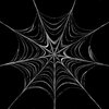 Spider's Web 1: Graphic spiderweb on black background. Useful background for halloween, etc.