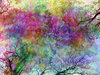 Vivid Fantasy Collage 1: A bright collage of natural shapes that are pleasing to the eye. A useful standalone arty image, or useful for a texture, background or fill. Perhaps you would prefer this: http://www.rgbstock.com/photo/nNTVSho/Dreamy+Pastel+Background+3