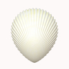 Shell 2: A scalloped seashell isolated on a white background. high resolution. Please use according to the image licence. You may prefer this:   http://www.rgbstock.com/photo/ns72hGw/Ammonite  or this:  http://www.rgbstock.com/photo/ns727uK/Ammonite+2