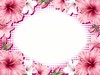Floral Border 1: A hibiscus border in pink and white with pink dots. Use within site rules or contact me directly.