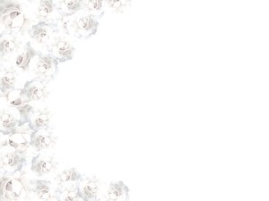 White Rose Border 1: Border made with white roses. Please use these images only within RGBs image licence. There are restrictions on use of all images on this site.