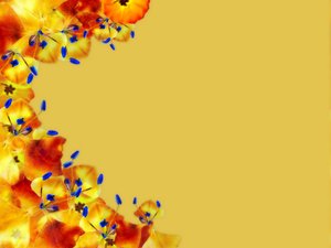 Floral Border 42: A border of orange and yellow flowers, with blue parts, and lots of copyspace.