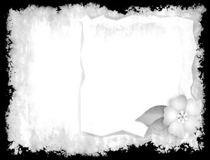 Grunge Paper: A little addition to a grunge background. Floral insert and frame.