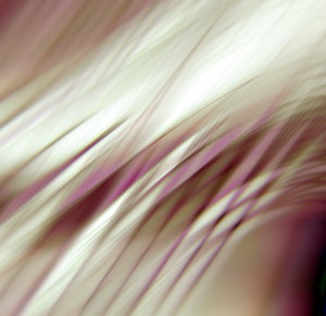 Abstract Background 22: Abstract futuristic background in pink and beige. Great texture, fill, backdrop or desktop.