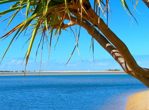 Paradise 5: Semi-tropical beach on the coast of Queensland at Cotton Tree, Australia. Framed by pandanus trees and a glorious sky. Truly Paradise!