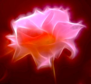Abstract Rose 1: A fractalised rose, gloriously lit up!