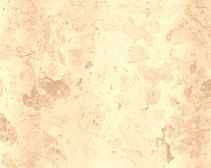 Old Paper 7: A grungy sheet of old paper or parchment in a beige colour with a marbled texture. Great background or banner.