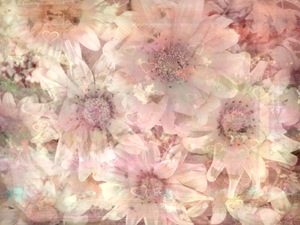 Floral Collage 3: A pretty collage of hearts and flowers in warm pastel colours. You may prefer:  http://www.rgbstock.com/photo/nVCpba2/Wildflower+Collage+3  or:  http://www.rgbstock.com/photo/nYarUR2/Floral+Grunge+Background+1