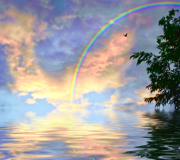 Rainbow Skies over Water 2: Rainbow coloured clouds reflected in water, with a bird flying, a rainbow, and a tree to border. Would make a great background or illustration. Large file size.