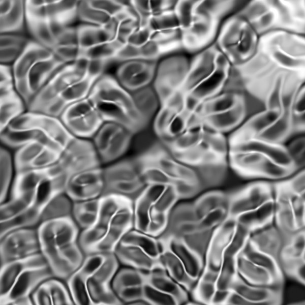 Bacteria: A rendered closeup of bacterial cells in black and white.