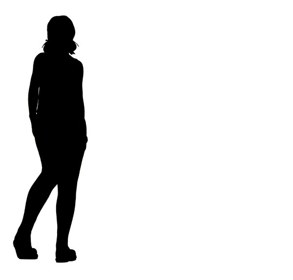 Woman's Silhouette 3: A silhouette of a standing female.