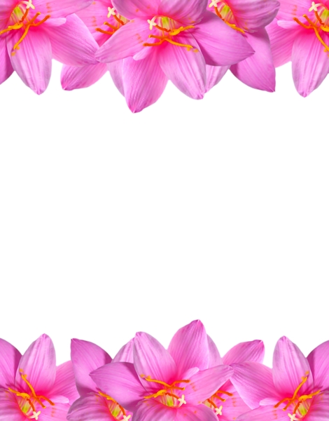 Natural Floral Border 2: A floral border of beautiful natural pink flowers. You may prefer:  http://www.rgbstock.com/photo/mVEl3Cw/Pretty+in+Pink+1  or:  http://www.rgbstock.com/photo/2dyVTby/Hibiscus+Border+1