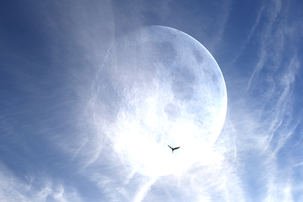 Giant Moon 6: A giant moon with spectacular clouds and a bird flying past. You might prefer: http://www.rgbstock.com/photo/mR30UG0/Giant+Moon+Over+Water  or:  http://www.rgbstock.com/photo/mUCzx9G/Giant+Moon+and+Plane