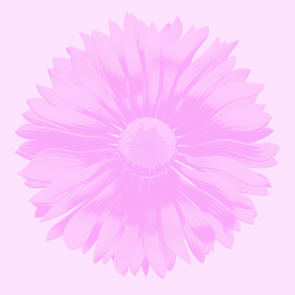 In The Pink 3: A pink and white floral image suitable for backgrounds, scrapbooking, etc.