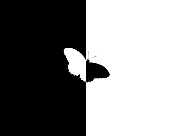 Butterfly Graphic: Graphic of a butterfly contrasted on a black and white background. You may prefer:  http://www.rgbstock.com/photo/ms6WZhM/Cutout+Foil+Butterfly  or:  http://www.rgbstock.com/photo/mYpltH2/Butterfly+Border