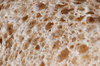 Bread texture: whole grain bread texture