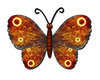 Big butterfly: grunge butterfly illustration element