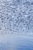 Rippled water: blue rippled water surface
