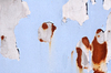 Rusty paint texture: paint texture