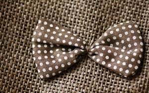Dotted bow: brown dotted bow on fabric