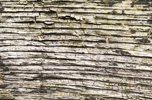 Cracked wood texture: Dry wood background