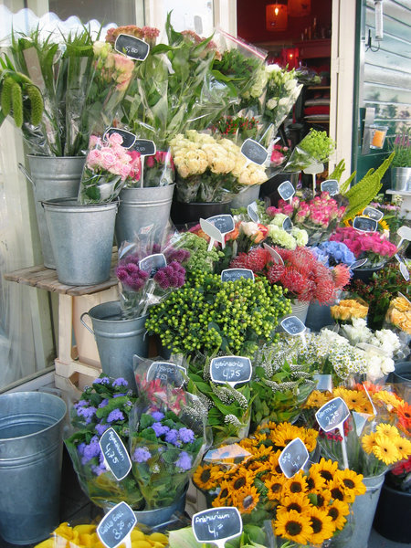 Bloemen te koop | Gratis stock foto's - Rgbstock - gratis afbeeldingen | | January - 10 2010 (50)